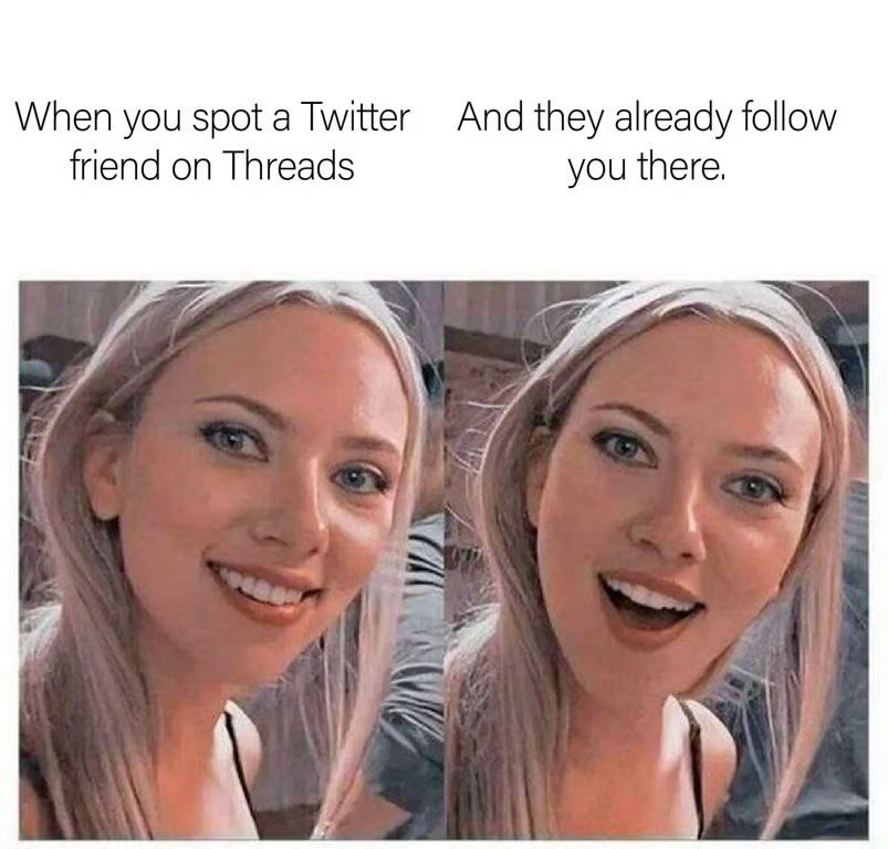 When you spot a Twitter friend on Threads And they already follow you there.